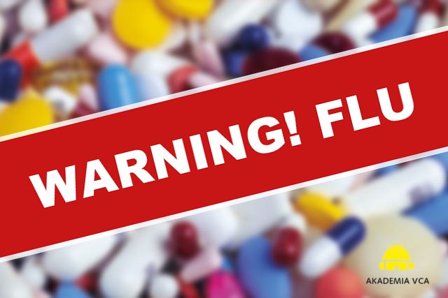 Drugs vs. Safety