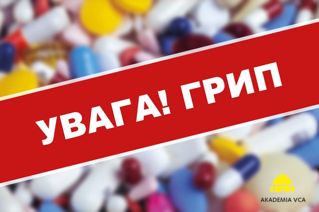 Ліки та безпека